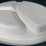 White 3 Compartment Bagasse Tray Original Color Dinner Sugarcane Bagasse Pulp 10