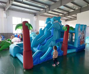 China AntiUV Commercial Combo Bounce House , Large Inflatable Bounce House factory
