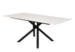 1800*900mm Ceramic Material Dining Table With Fixed Type Black Metal Leg