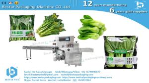 China Greens cabbage leafy pouch packaging horizontal servo packing machine factory