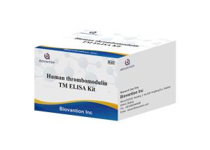 China Human Thrombomodulin TM Fetomodulin CD141 THBD THRM ELISA Kit factory
