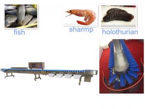 China Stainless Steel 180pcs/Mins 200g Conveyor Check Weight Sorter factory