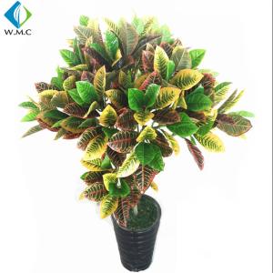 China Indoor Landscape Artificial Bonsai Tree , Potted Codiaeum Variegatum Plant factory
