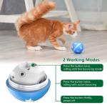 Electronic Dog Ball Wicked Ball Self Moving Motion Activated Ball Interactive