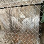 Professional Manufacture Promotion Price 5Ft 6Ft 2M 3M Galvanized Chain Link
