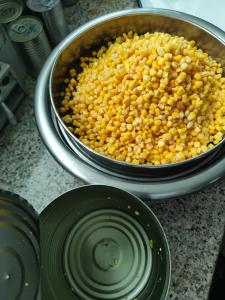 China Sweet Canned Corn Whole Kernels for Transport Packaging factory