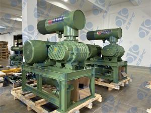 China 65m3/Min 0.06Mpa Cast Iron Three Lobe Roots Blower For Pneumatic Conveying factory
