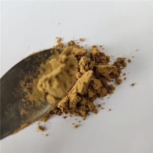 China Medicine Grade immune anti-fatigue isatis root extract for capsule factory