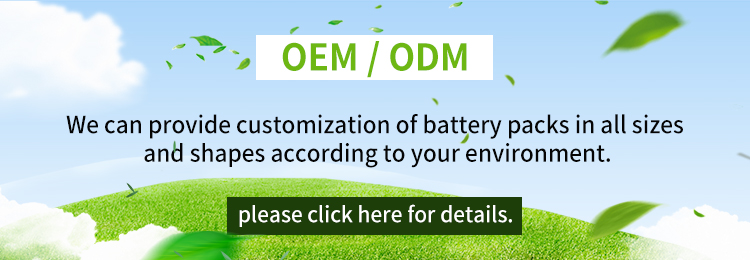 Customized Li Polymer Battery Cell Rechargeable OEM LP-454965-2P-3M 3.7V 3000mAh