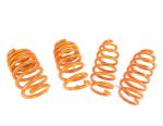 Two Wheel Sport Tesla Model 3 Lowering Springs Flexible