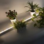 Bright Indoor Led Grow Light T8 18w Full Spectrum Led Grow Light 5 Years
