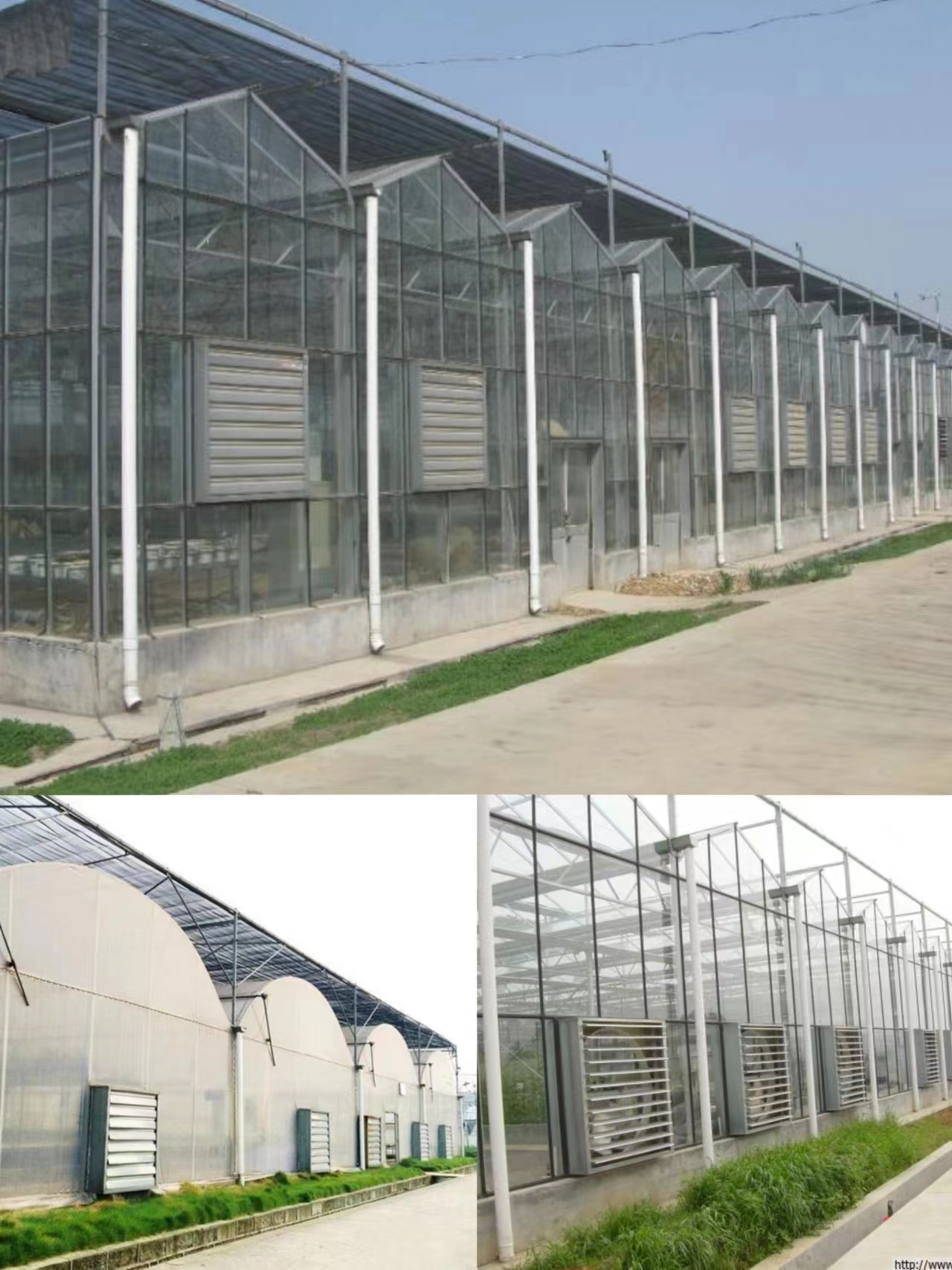 Source Factory 50 Inch Pig Pen Using Poultry Exhaust Fan Poultry Fan Poultry Farm Ventilation Fans for Sale