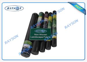 China White or Black Non Woven Landscape Fabric with 3% UV for Agriculture Plant Cover factory