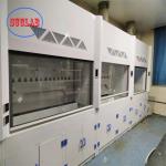 Chemical Resistant Class 100 Laboratory Fume Cupboard Wall Mounted Installation