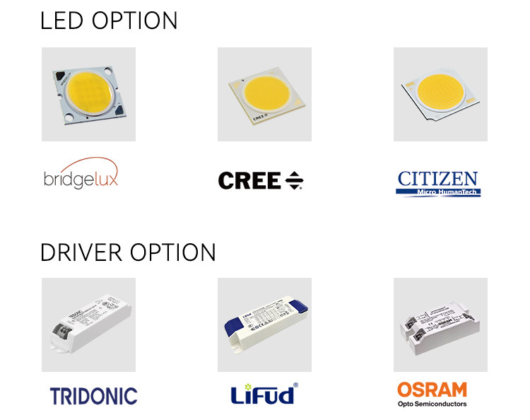 Indoor Ceiling Recessed Adjustable Spotlight LED Semi Recessed Lighting