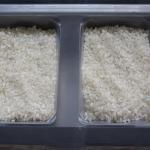 Customization Rice Dried Fruit Vacuum Skin Packaging Machine Industrial