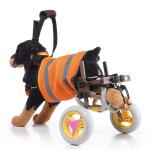 Pet Dog Wheelchair For Back Legs Folding Lightweight Wheelchair for Disabled