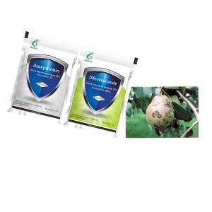 China Agrochemical Bactericide 25% Azoxystrobin SC 37% Difenoconazole WDG Treat Grape Blight factory