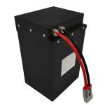 Electric Motorcycle Battery OEM/ODM 12V 24V 36V 48V 60V 72V 96V LiFePO4 Lithium