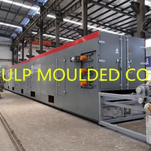 China Recycling Fruit Tray Making Machine factory