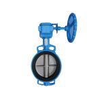 API 609 6 Inch Hand Gear Operated Wafer Lug Type Stainless Steel DN100 Butterfly