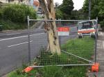 2m Construction Temp Fence Panels 32mm 8'' X 10'' Steel