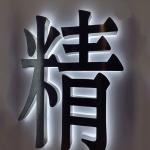Back-lit Letters Led 3D Outdoor Indoor Decoration Storefront Light Sign Backlit