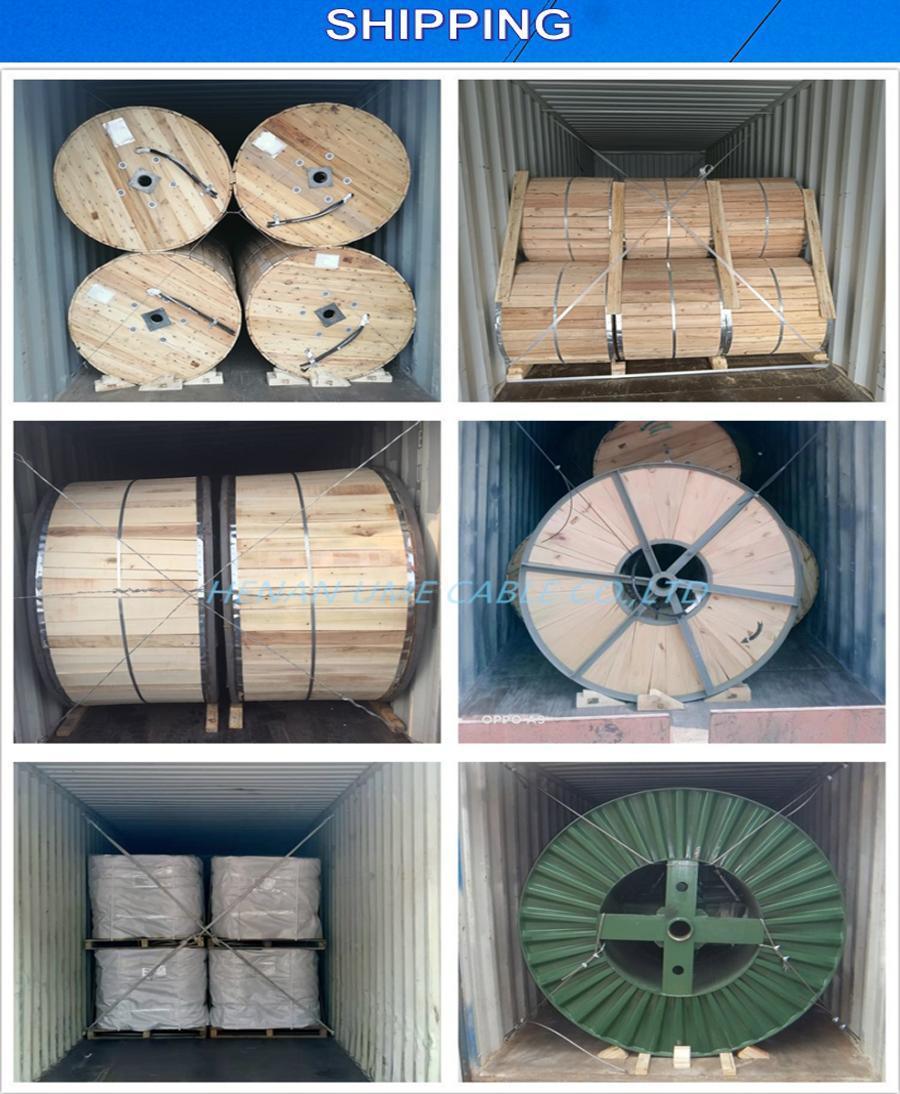 ASTM Standard 50sqmm100sqmm Overhead AAC AAAC Single Core Bare All Aluminum Conductor Wire Cable AAAC
