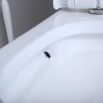 Siphonic Round American Standard One Piece Dual Flush Toilet Elongated Bowl
