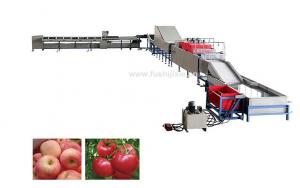 China Automatic Electronic Fruit Washing And Waxing Machine 5MT/H factory