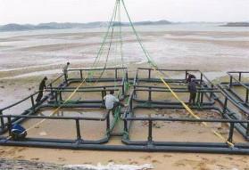China BSI Farm PE100 Fish Net Cage Diameter Customized factory