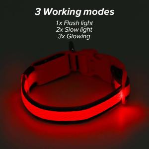 China Customized Color LED Dog Collar USB Rechargeable , Nylon LED Pet Dog Collar factory