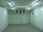 Food Grade Professional Cold Room Cooler/Chiller/Freezer Room with Air Cooler