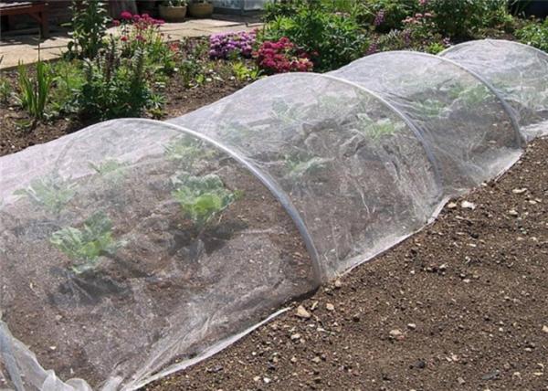 Agricultural Garden Crops Insect Mesh Netting Vegetables Flowers Fruits Cover