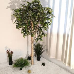 China Custom Artificial Landscaping Tree Bonsai Birch Garden Ornaments factory