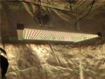 UV 395nm IR 730nm Red 660nm 240w 2x2 Led Grow Light