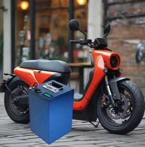 China Custom 20S 60V 30Ah Lithium LiFePO4 Battery Auto Rickshaw Electric Motorbike Battery factory