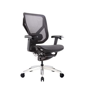 China Adjustable Back Support&amp;Armrests Swivel Lumbar Support Chair​ factory