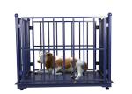 Dynamic ODM 100Kg Weighing Scale For Live Pigs