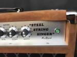 Custom Grand Tube Guitar Amp Head 100W Dumble Clone SSS Steel String Singer
