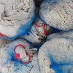 Sausage Making Natural Lamb Casings A B AB Grade High Flexibility