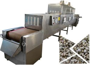China Safe Standards Soybean Microwave Dryer Machine factory