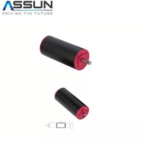 China Heat Resistance DC Coreless Motor 9v 2.4cm Diameter 12000mA Starting Current factory