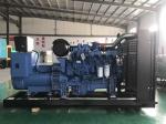 Blue 200kw Diesel Generator Leroy Somer Alternator Electric Generating Set
