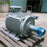 1MW 2MW 3MW 5MW Wind Turbine PMG Low Rpm Permanent Magnet Motor