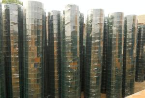 China holland wire mesh factory