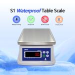 Waterproof Double Screen Electronic Scale with 3-30kg Capacity and Customized