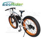 26 Inch Tires 2 Wheel Electric Bike Outdoor Off Road Dirt Electric Snowmobile