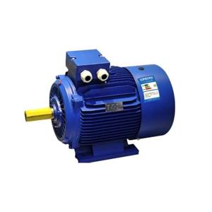 China Efficiency Class Iec Ie3 Motor Cast Iron 3 Phase Cage Induction Motor factory