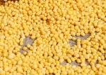 Purity Over 95% Natural Agricultural Products Huskless Green Mung Bean